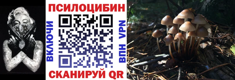 что такое Нижние Серги Псилоцибиновые грибы GOLDEN TEACHER